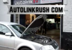 autolinkrush com
