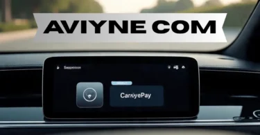 aviyne com