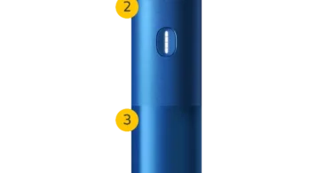 popular terea flavors 